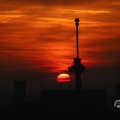 IMG_1594719