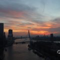 IMG_1594839
