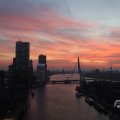 IMG_1594868
