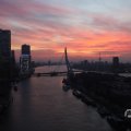 IMG_1594877