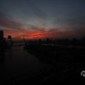 IMG_1594885