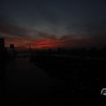 IMG_1594887