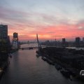IMG_1594927