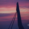 IMG_1594942