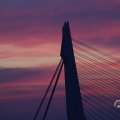 IMG_1594944