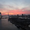 IMG_1594945