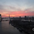 IMG_1594946