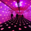 IMG_1594988