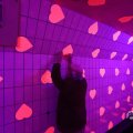 IMG_1595025