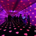 IMG_1595027