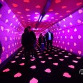 IMG_1595028