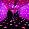 IMG_1595029