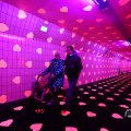 IMG_1595037