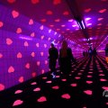 IMG_1595040