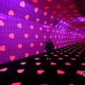 IMG_1595042
