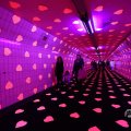 IMG_1595045