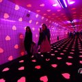 IMG_1595047
