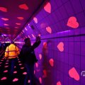 IMG_1595048
