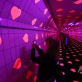 IMG_1595050