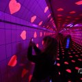IMG_1595051