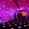 IMG_1595052