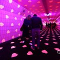 IMG_1595056