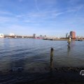 IMG_1595106