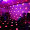 IMG_1595121