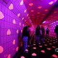 IMG_1595134