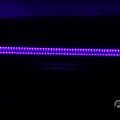IMG_1595152