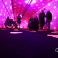IMG_1595155