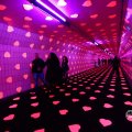 IMG_1595159