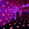 IMG_1595160