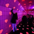 IMG_1595169