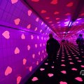 IMG_1595174