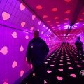 IMG_1595177