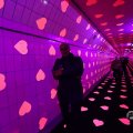IMG_1595178