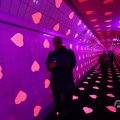 IMG_1595179