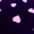 IMG_1595181