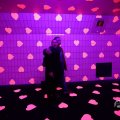 IMG_1595187