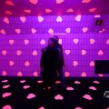 IMG_1595188