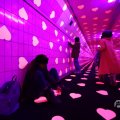 IMG_1595195