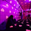 IMG_1595196