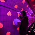 IMG_1595198