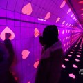 IMG_1595200