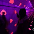 IMG_1595201