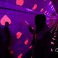 IMG_1595203