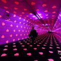 IMG_1595204