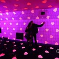 IMG_1595209