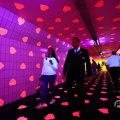 IMG_1595312